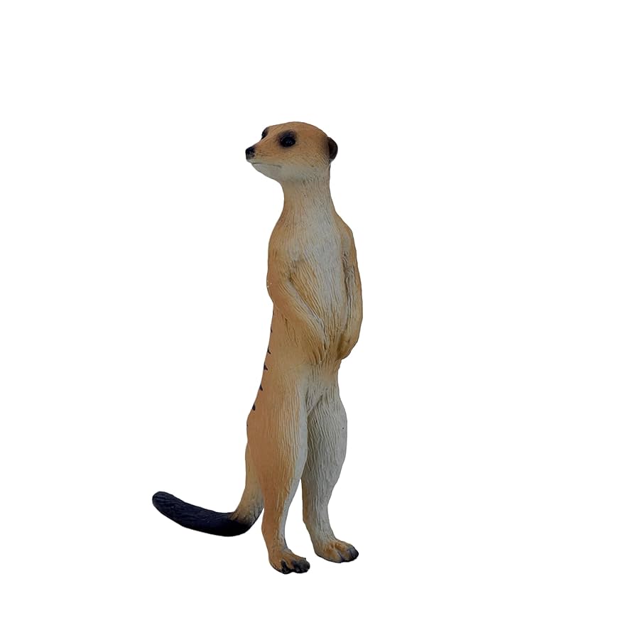 ミーアキャット　4枚 ミーアキャット14頭ファミリー - 動物ZOO感ごっこ